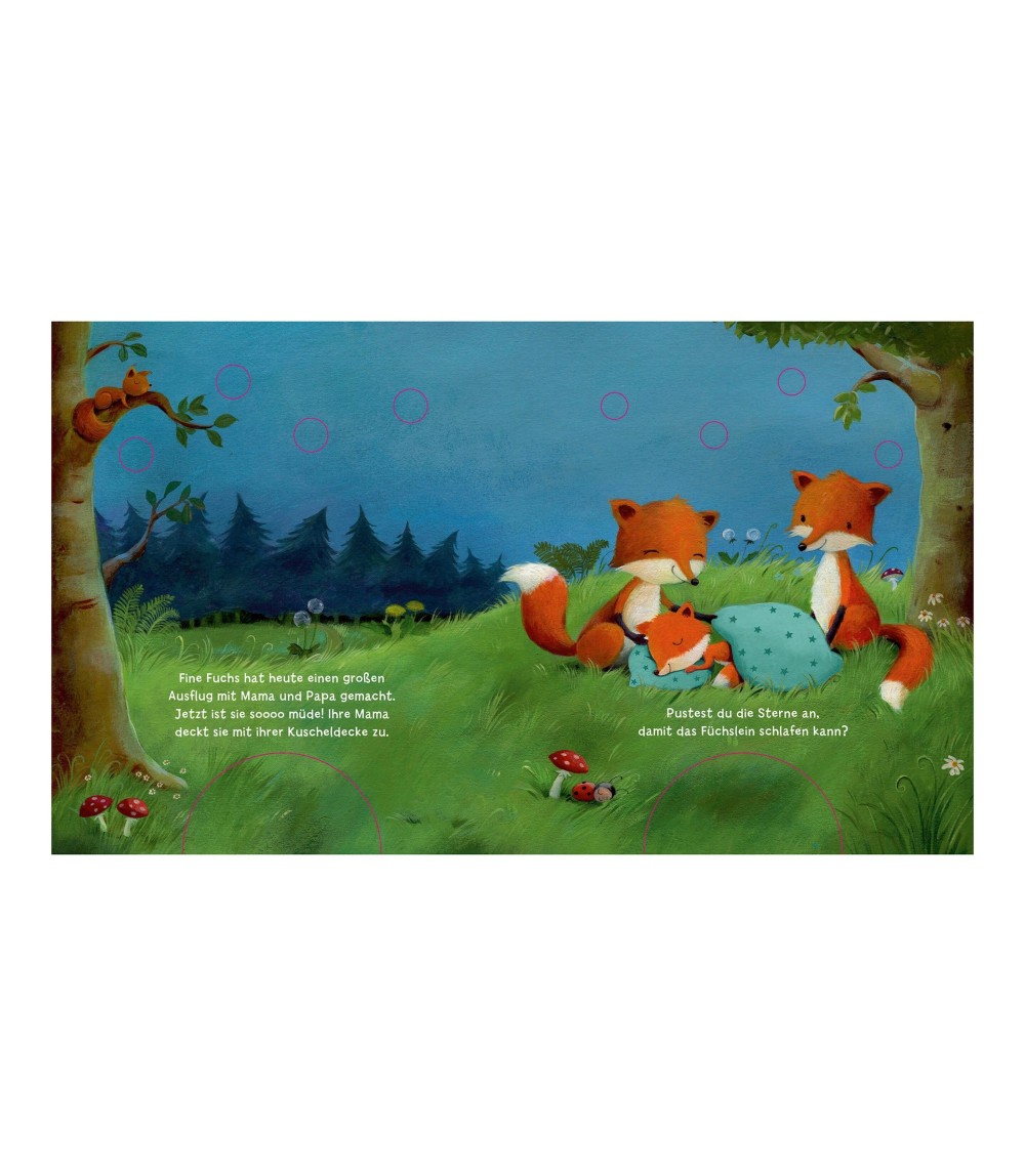 Mein Puste-Licht-Buch - Wenn im Dunkeln Sterne funkeln