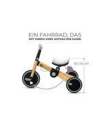 Dreirad 4TRIKE