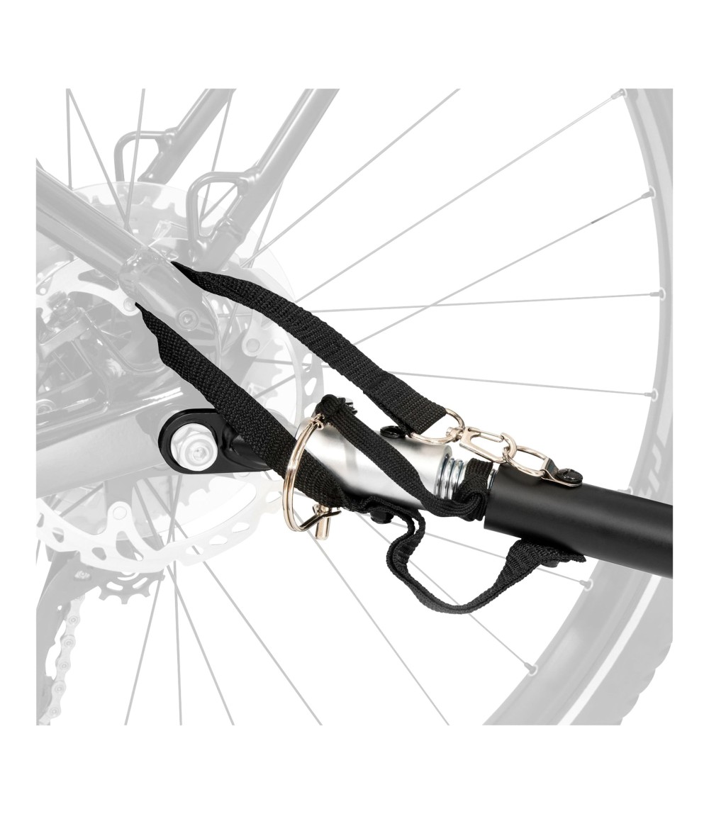 Dryk Duo Fahrradanhänger