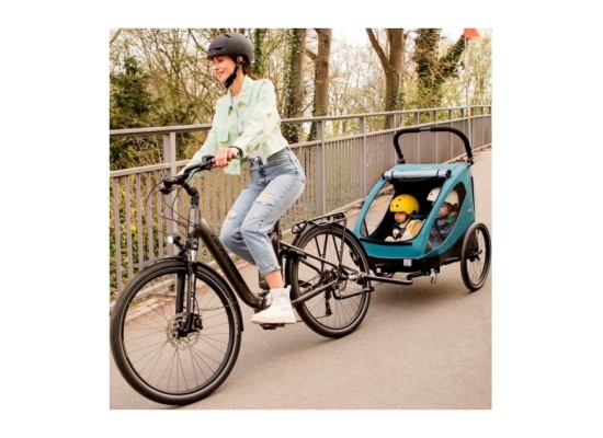 Dryk Duo Fahrradanhänger