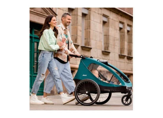 Dryk Duo Fahrradanhänger