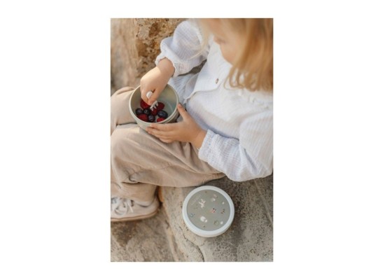 Mepal X Little Dutch Fruchtbox