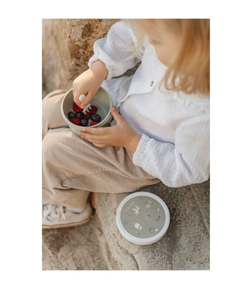 Mepal X Little Dutch Fruchtbox