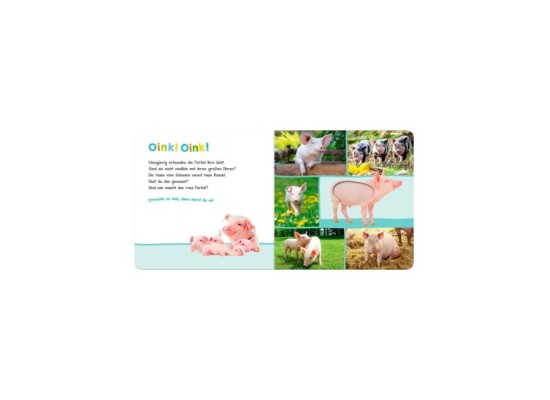 Soundbilderbuch Hör mal rein wer kann das sein? - Bauernhoftiere