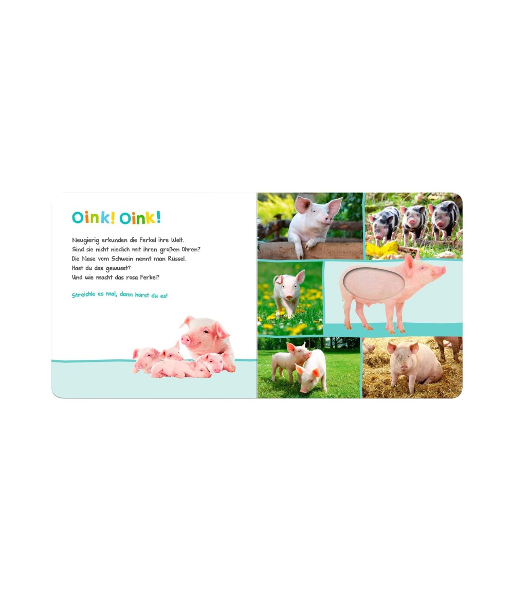 Soundbilderbuch Hör mal rein wer kann das sein? - Bauernhoftiere