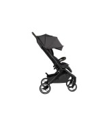 Buggy Ping 3 Trekking