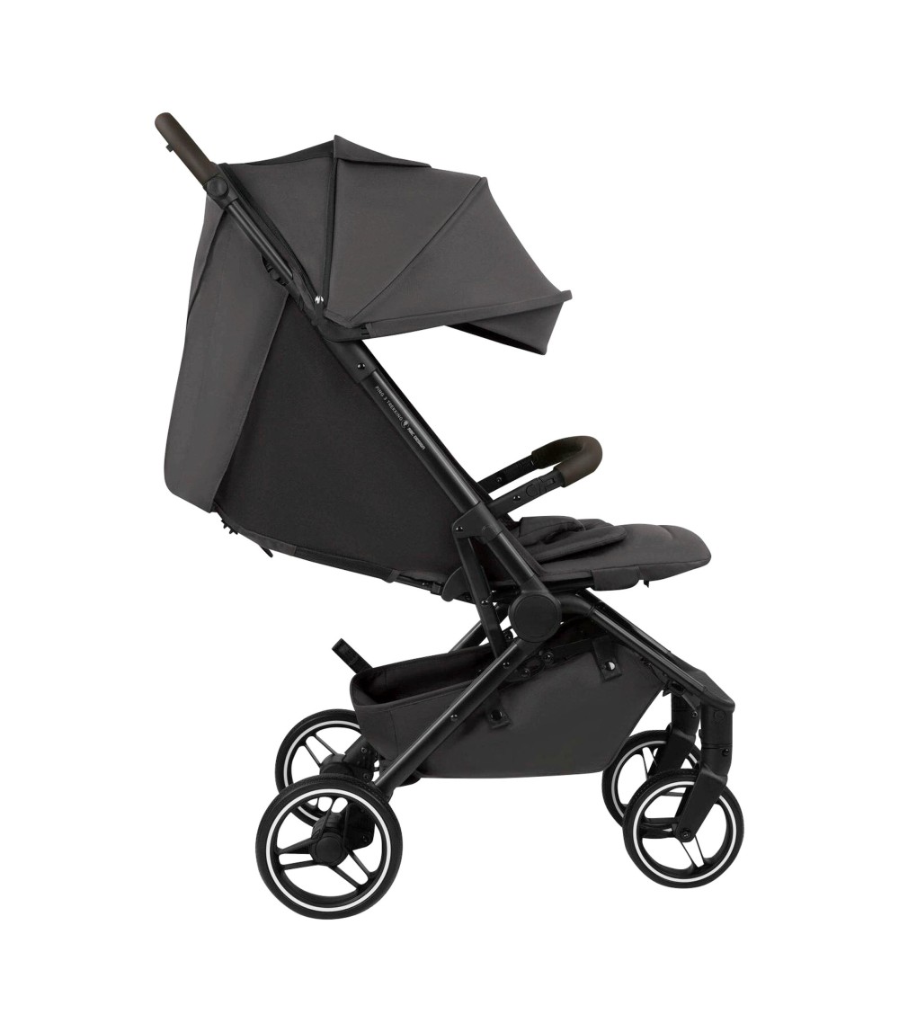 Buggy Ping 3 Trekking