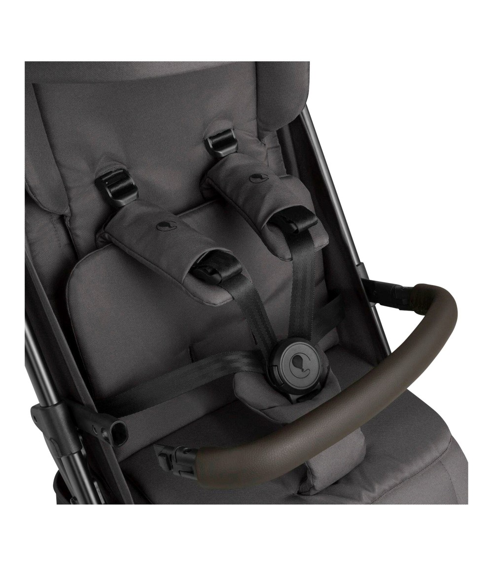 Buggy Ping 3 Trekking