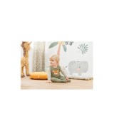 Strampler-Set 2-tlg. mit Body Ringel Tiger