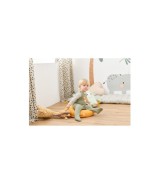 Strampler-Set 2-tlg. mit Body Ringel Tiger