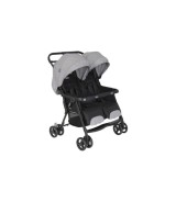 Geschwisterwagen Duorider