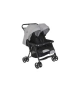 Geschwisterwagen Duorider