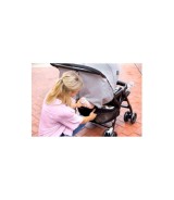 Geschwisterwagen Duorider