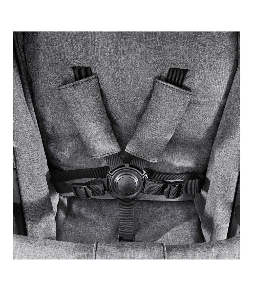 Zwillings- und Geschwisterwagen Atlantic Twin