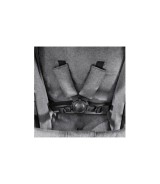 Zwillings- und Geschwisterwagen Atlantic Twin