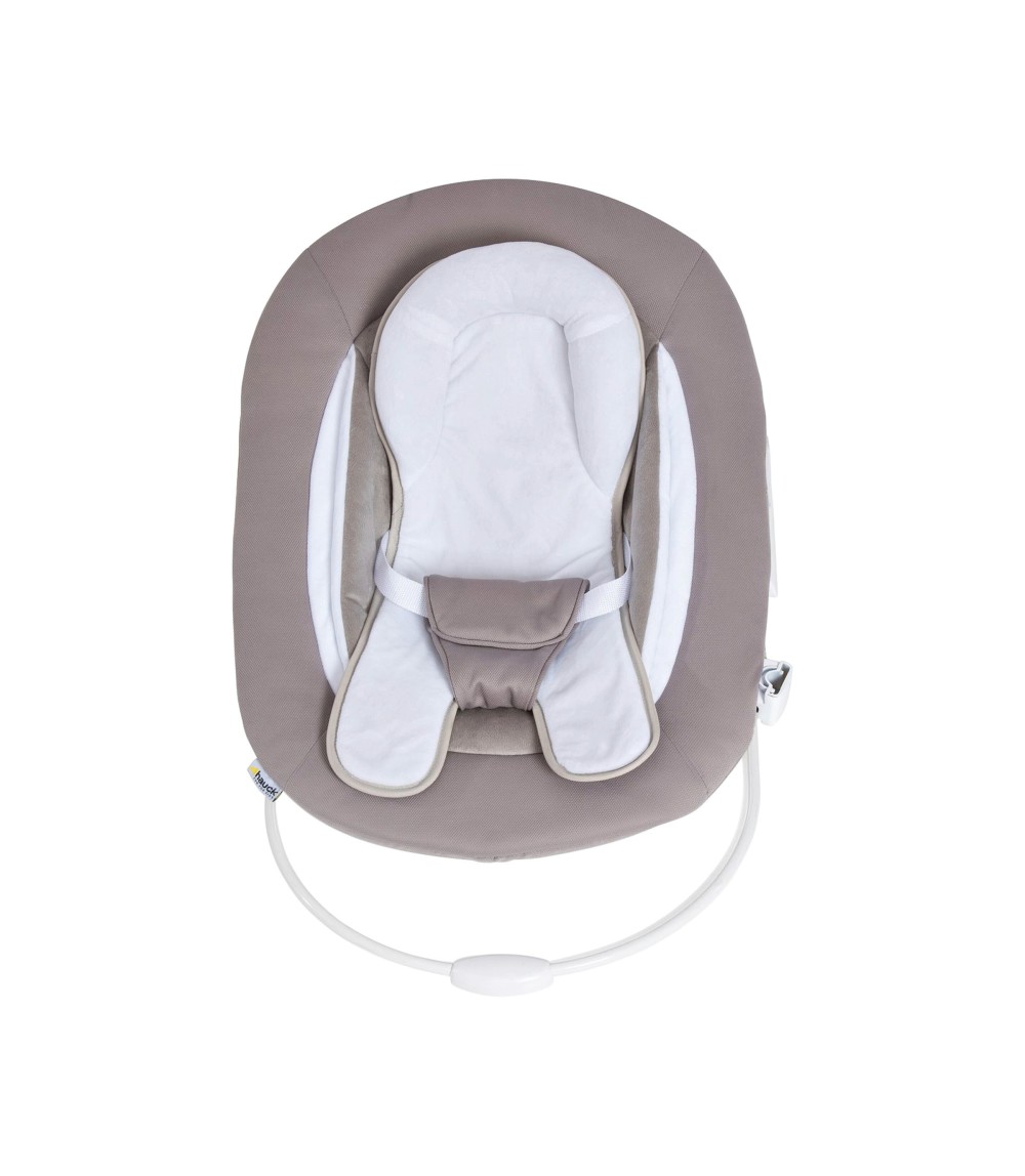Babywippe Alpha Bouncer 2in1 Deluxe