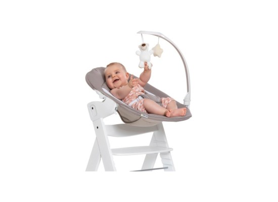 Babywippe Alpha Bouncer 2in1 Deluxe