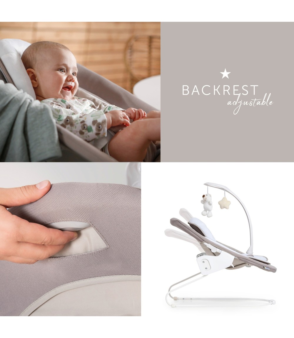 Babywippe Alpha Bouncer 2in1 Deluxe