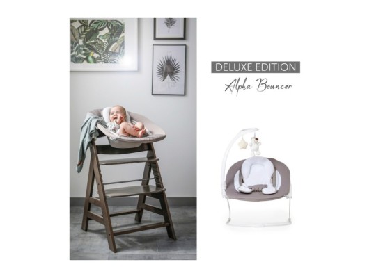 Babywippe Alpha Bouncer 2in1 Deluxe