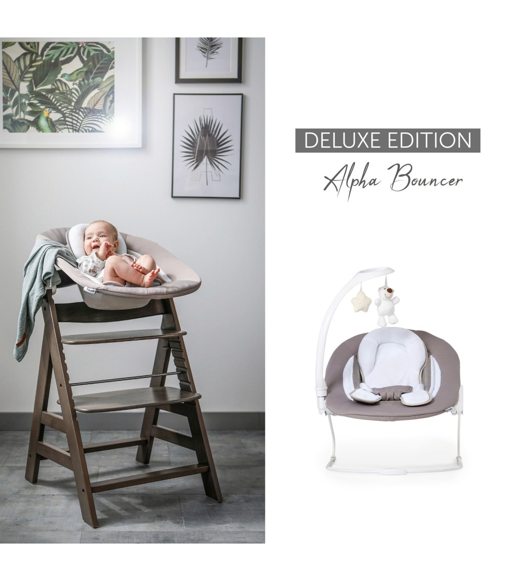 Babywippe Alpha Bouncer 2in1 Deluxe