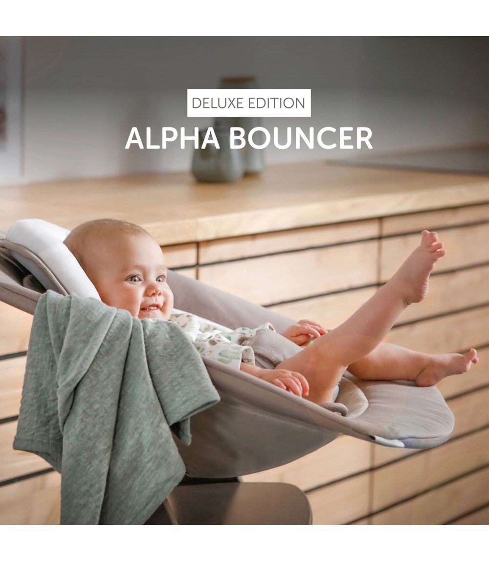 Babywippe Alpha Bouncer 2in1 Deluxe