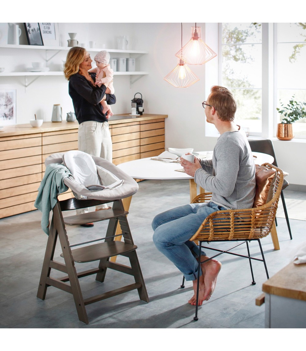 Babywippe Alpha Bouncer 2in1 Deluxe