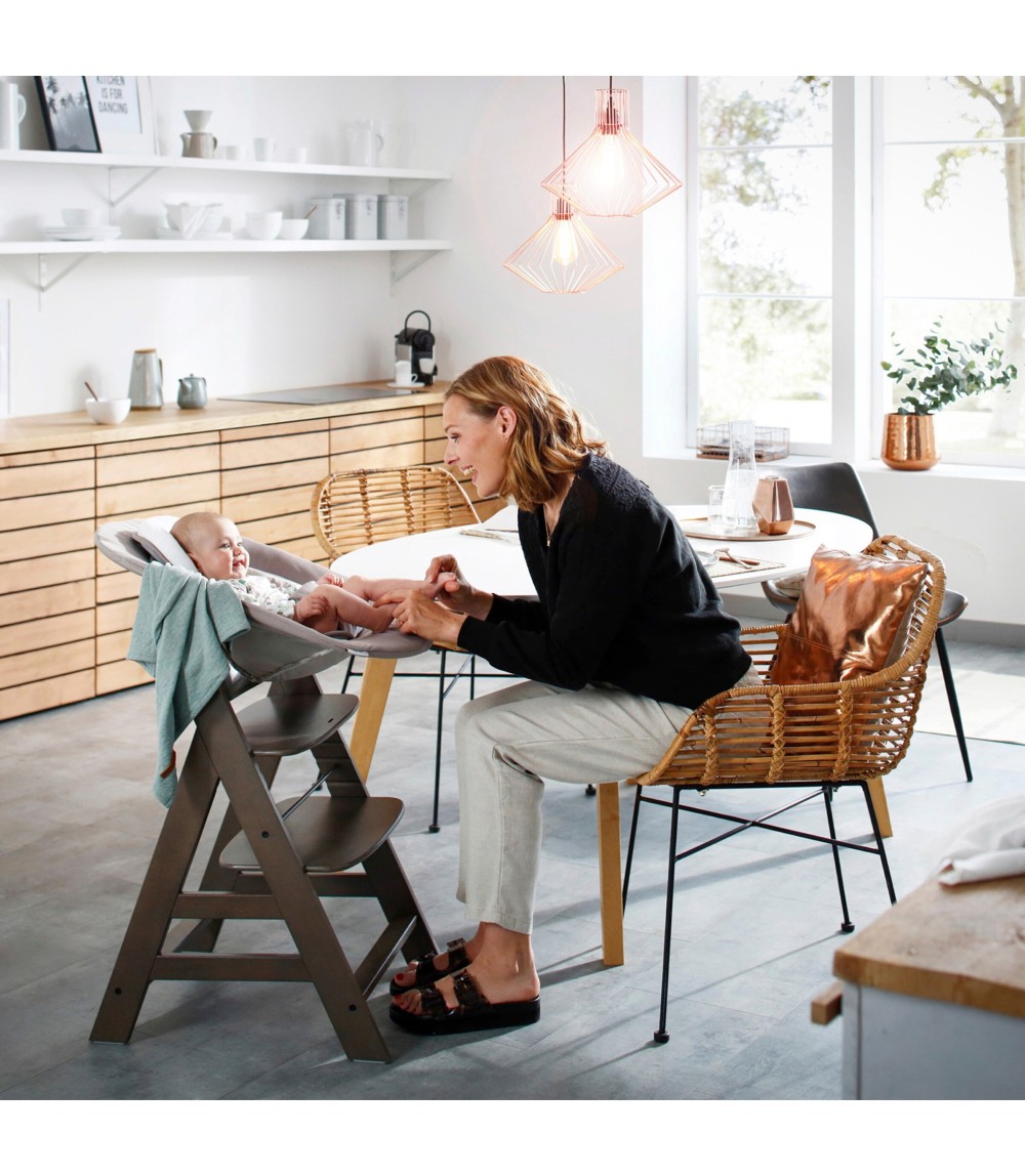 Babywippe Alpha Bouncer 2in1 Deluxe