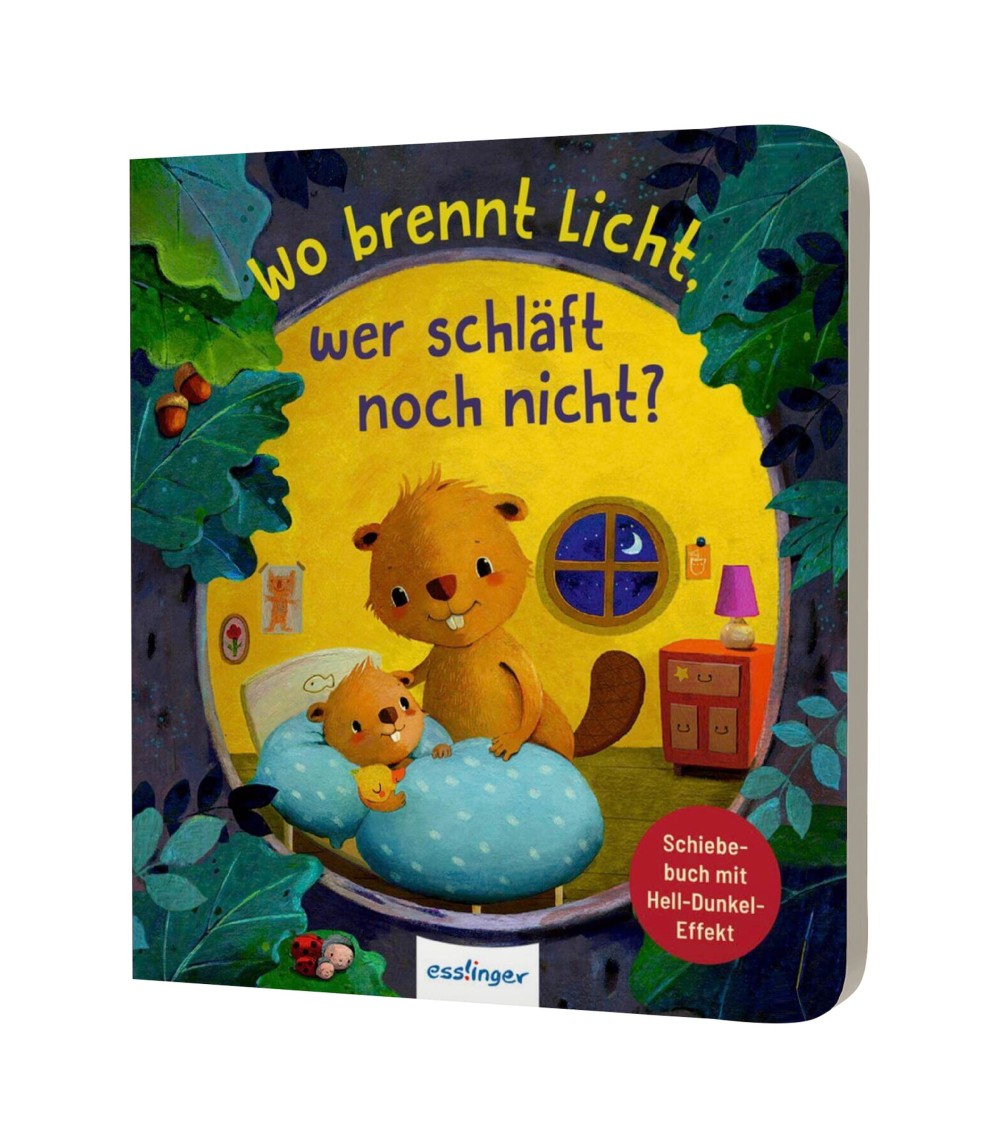 Schiebebuch Wo brennt noch Licht