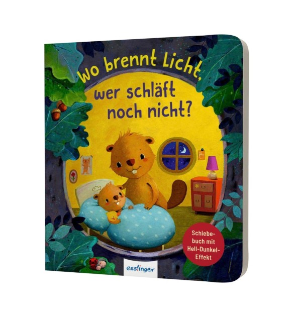 Schiebebuch Wo brennt noch Licht