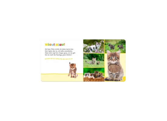 Soundbilderbuch Hör mal rein wer kann das sein? - Lieblingstiere