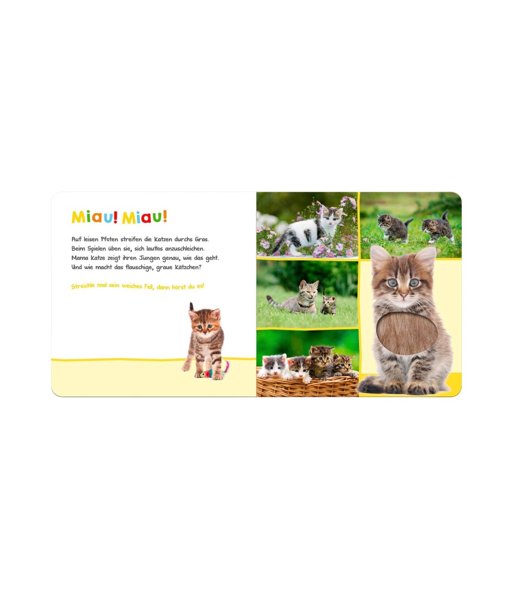 Soundbilderbuch Hör mal rein wer kann das sein? - Lieblingstiere