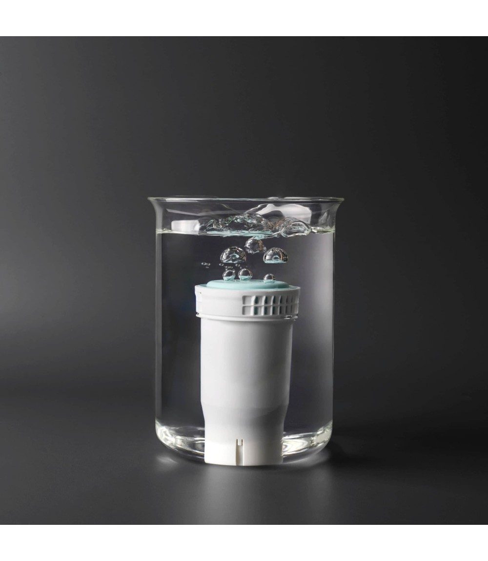 Ersatzfilter für Flaschenzubereiter Perfect Prep