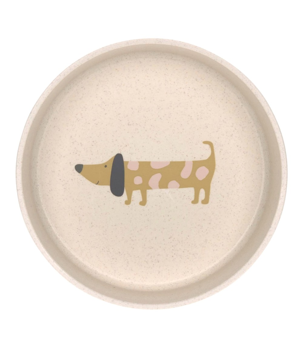 Schale mit Zellulose