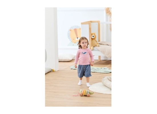 Raglanshirt langarm Wal