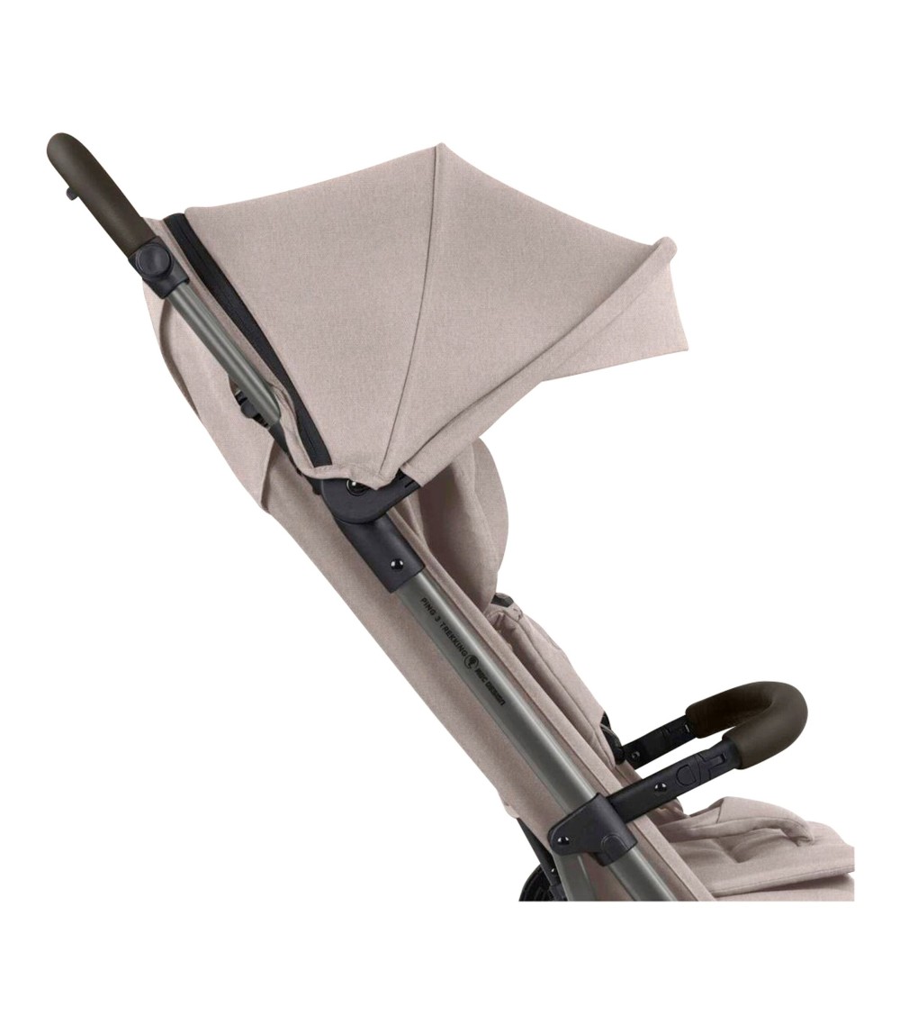 Buggy Ping 3 Trekking