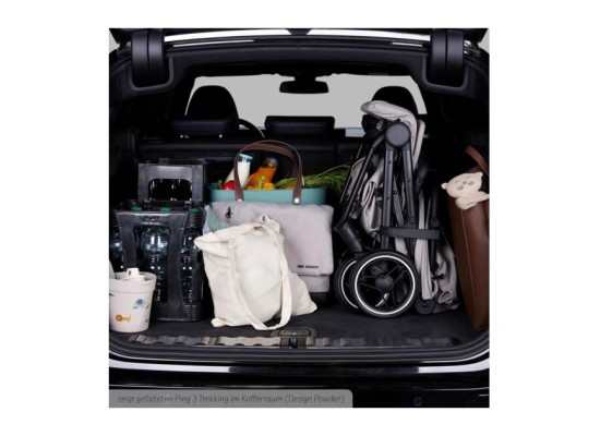 Buggy Ping 3 Trekking