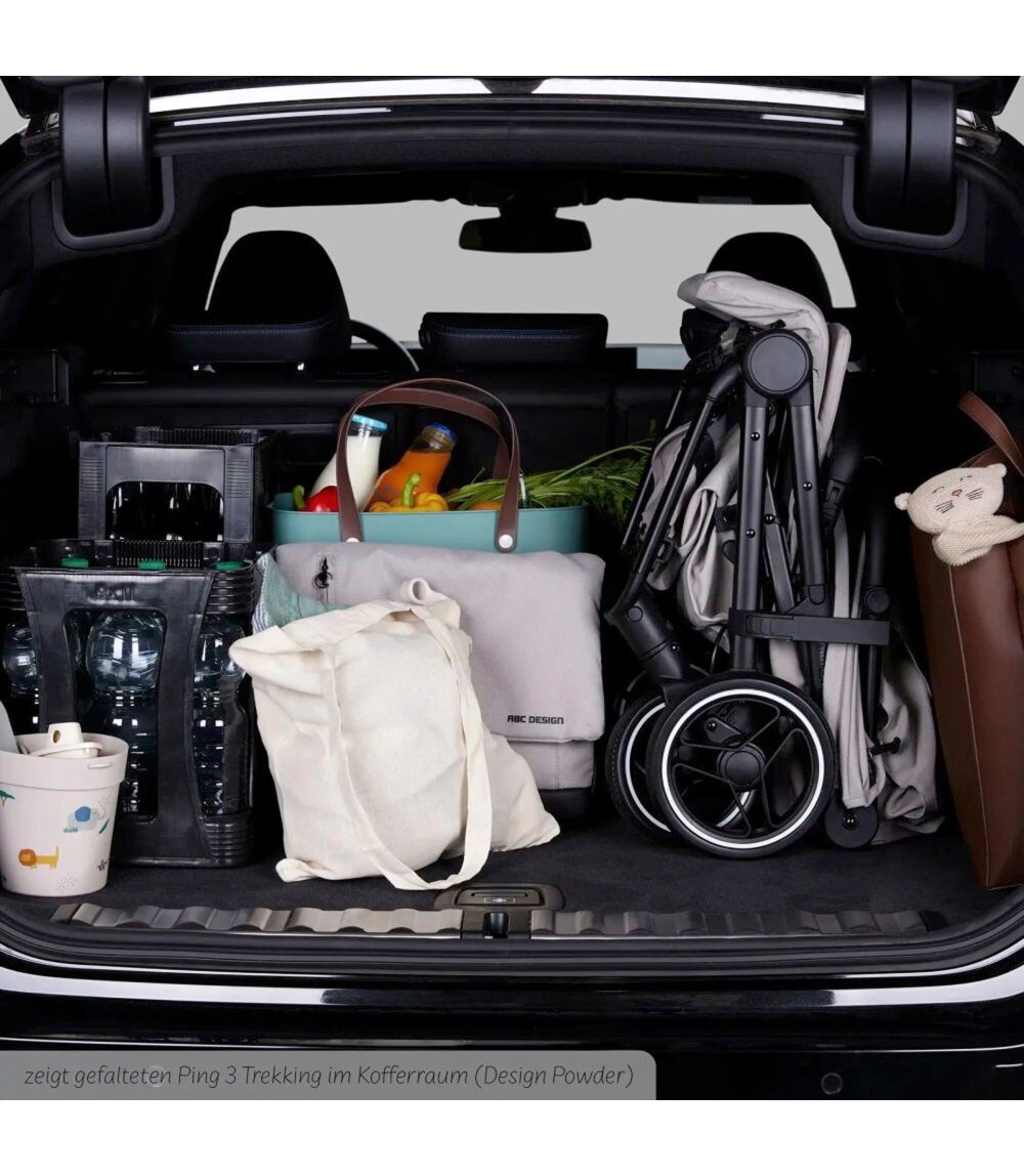 Buggy Ping 3 Trekking