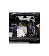 Buggy Ping 3 Trekking