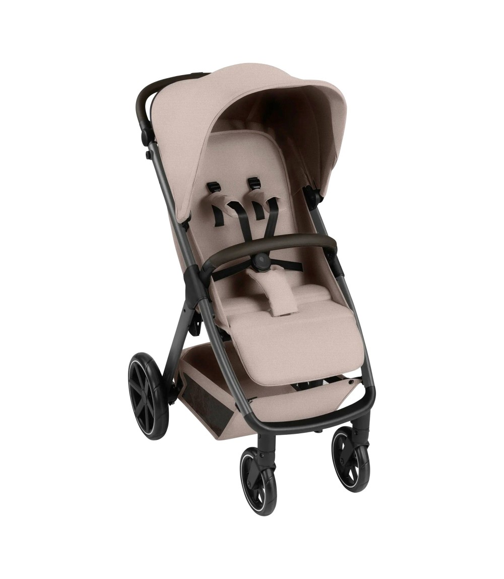 Buggy Avus 2