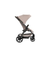 Buggy Avus 2