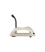 Rutscher Walk n' roll 2in1 ECO