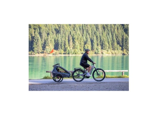 Fahrradanhänger Kidgoo 2