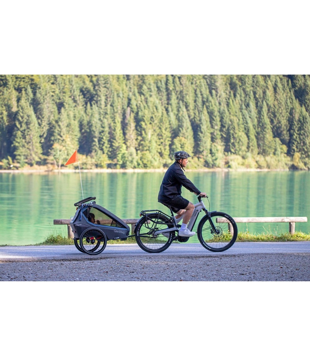 Fahrradanhänger Kidgoo 2