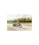 Fahrradanhänger Dryk Duo