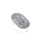Babywippe Alpha Bouncer 2in1