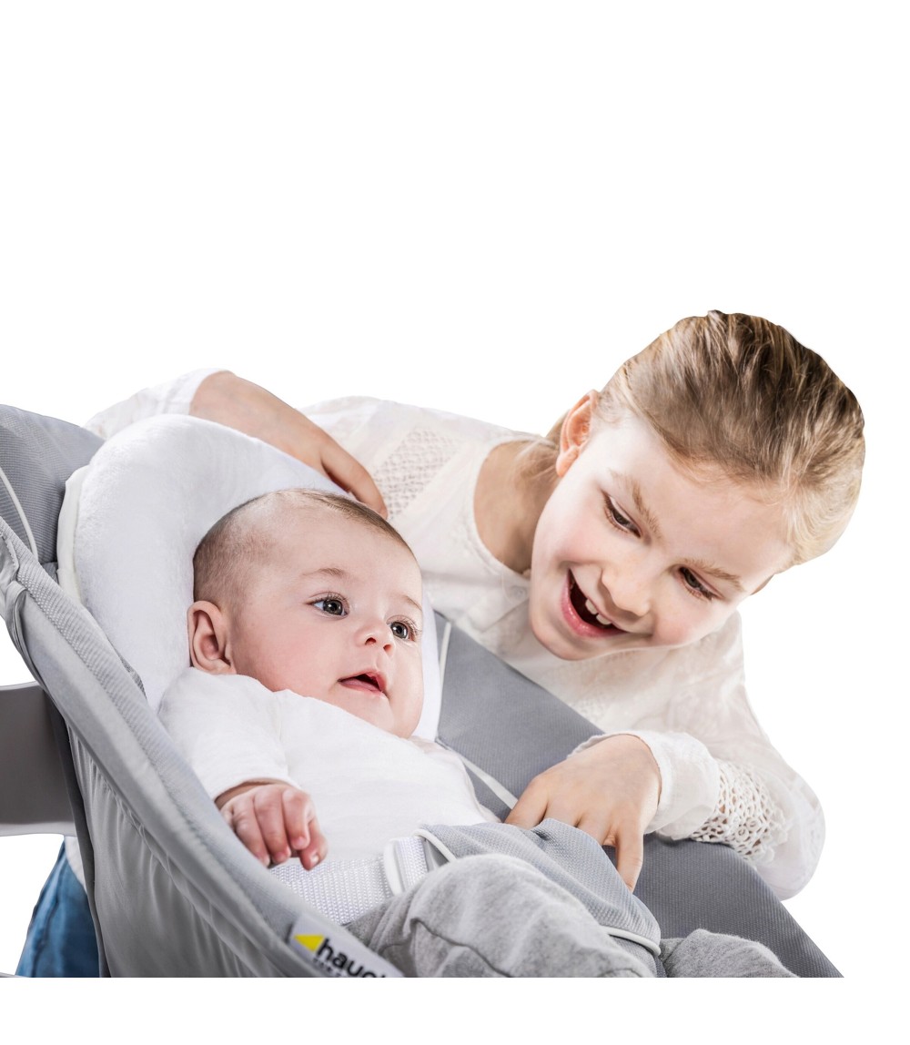 Babywippe Alpha Bouncer 2in1