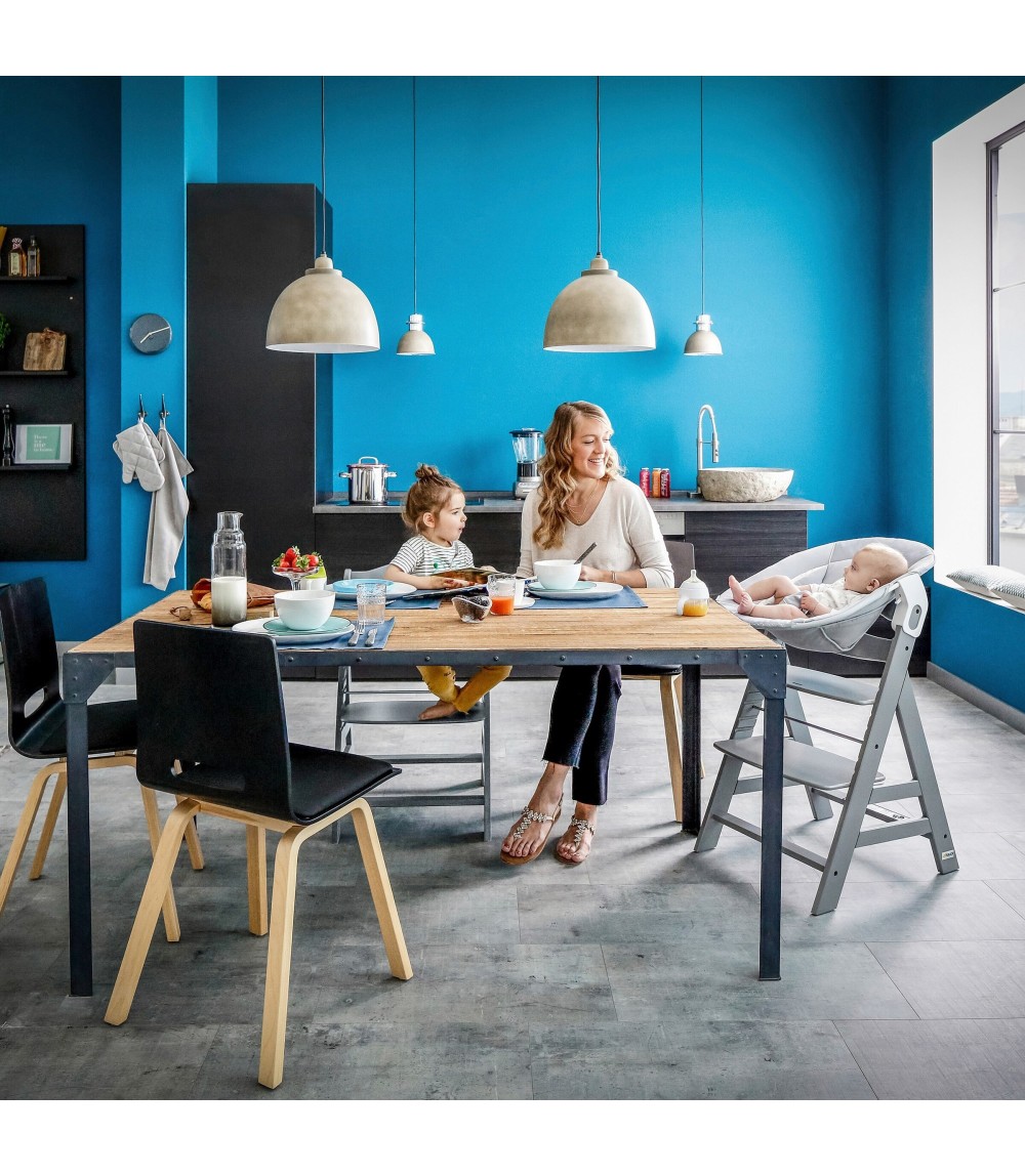 Babywippe Alpha Bouncer 2in1