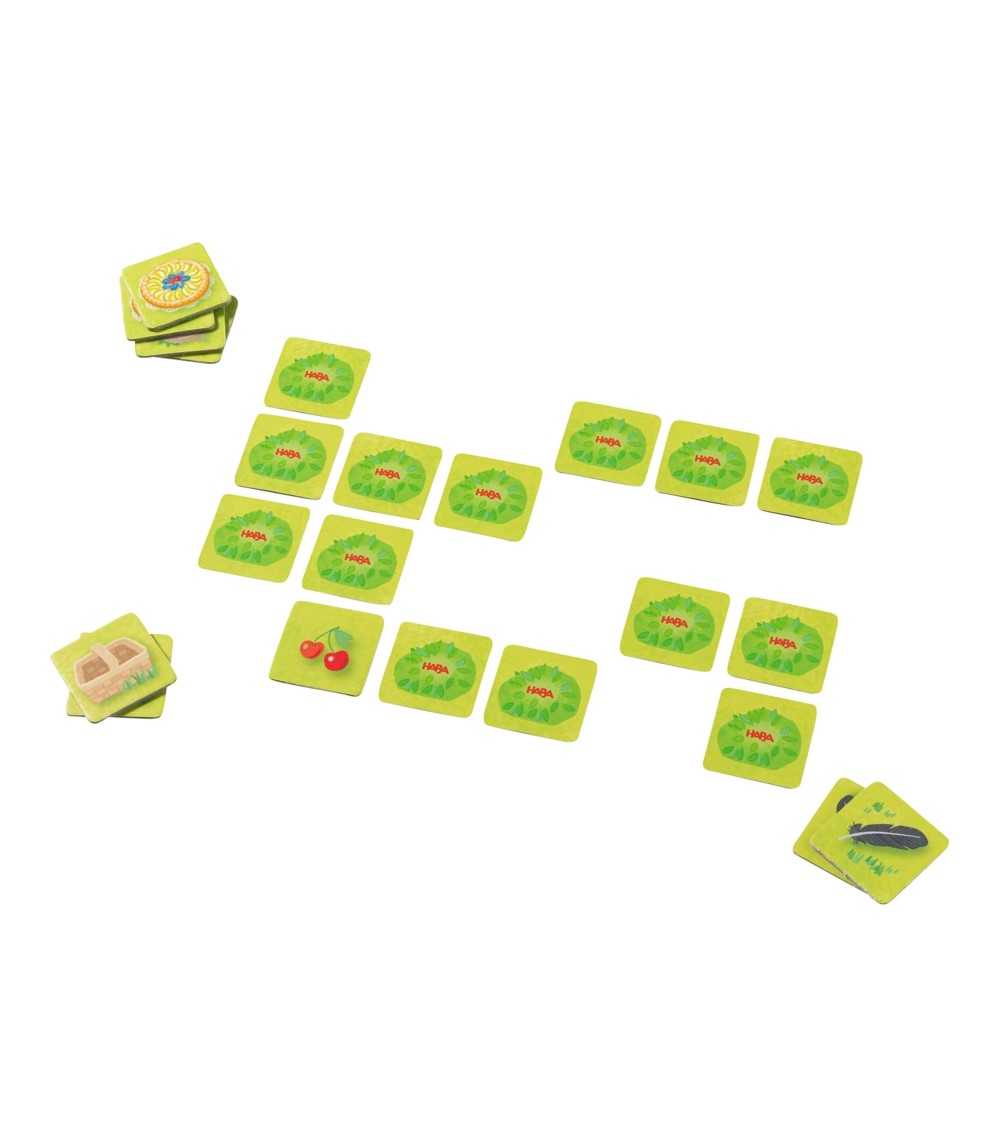 Meine große Obstgarten-Spielesammlung