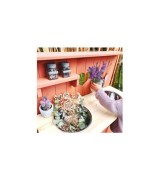 Matschküche Adventurer