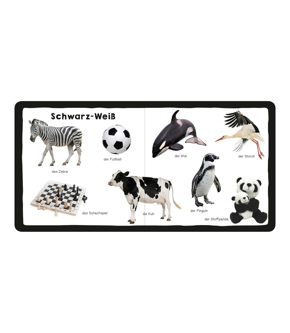 Pappbilderbuch Mein erstes dickes Farbenbuch